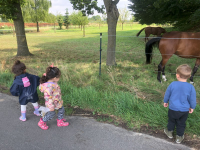 Tiere in der Nähe Tiere in der Nähe